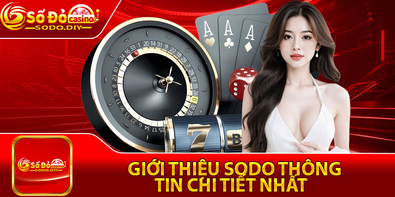 Giới thiệu sodo thông tin chi tiết nhất