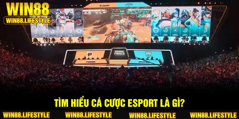 Tìm hiểu cá cược Esport là gì?
