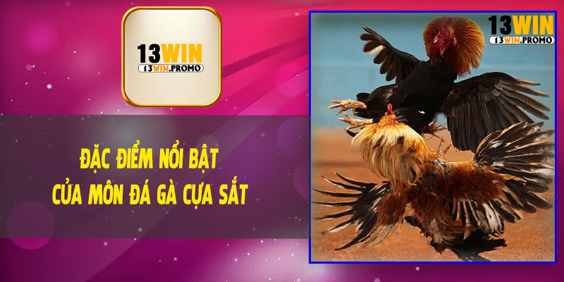 Đặc Điểm Nổi Bật Của Môn Đá Gà Cựa Sắt